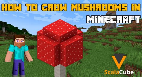 how to grow mushrooms in minecraft scalacube