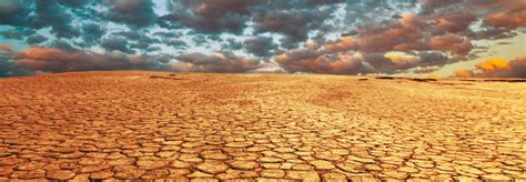 Land Degradation Could Displace 50 To 700 Million People By 2050