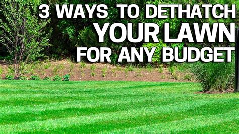 Maybe you would like to learn more about one of these? Improve your Lawn with Dethatching - 3 Ways How to do it for Any Budget - YouTube