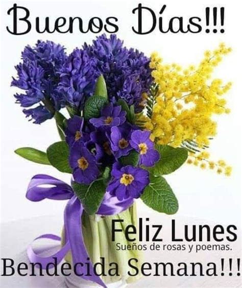 Feliz Lunes Imágenes Bellas 167 Saludos De Buenos Dias Feliz Lunes Carteles De Buenos Dias