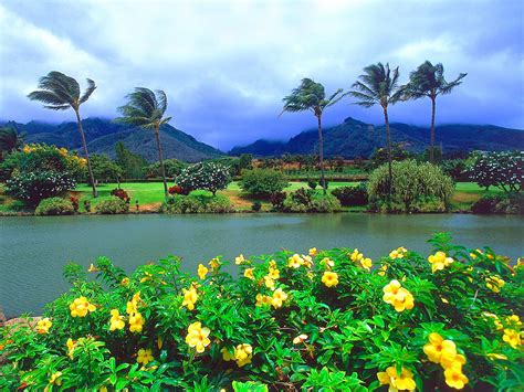 42 Maui Hawaii Desktop Wallpaper Wallpapersafari