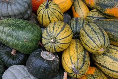 Spaghetti Squash 101 — Pick A Pepper