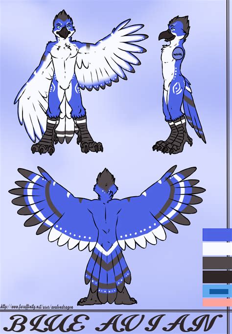Blue Avian Reference Sheet By Aggro Badger Fur Affinity [dot] Net