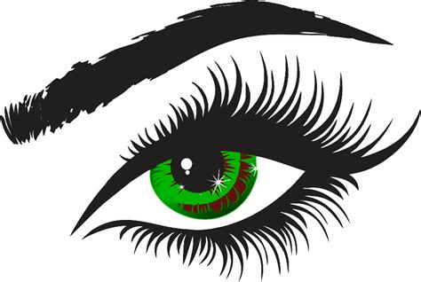 Download High Quality Eyelash Clipart Face Transparent Png Images Art