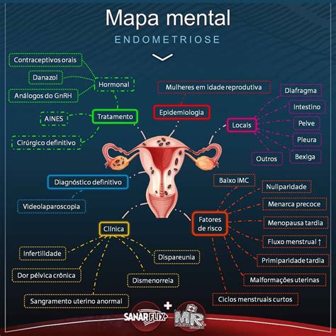 Top Imagen Mapa Mental Ciclo Menstrual Viaterra Mx Hot Sex Picture Hot Sex Picture