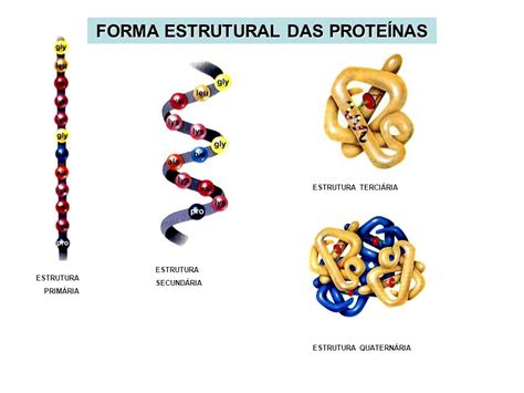 Proteínas Bio Por Acaso