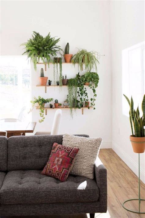 16 Living Room Plants Michigan