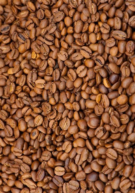 Background From Coffee Grains Stock Photo Image Of Vertical Caffeine