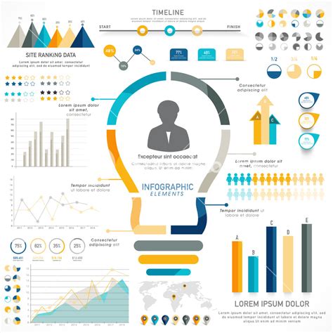 Creative Timeline Infographic Elements With Statistical Graphs Charts