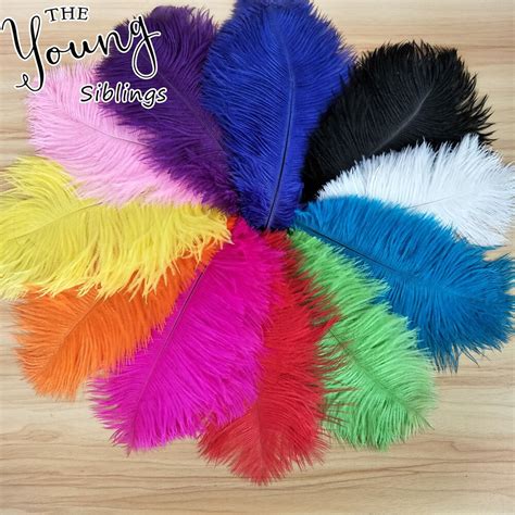 Wholesale Colored Ostrich Feathers 30 35cm Ostrich Plumes Feathers For
