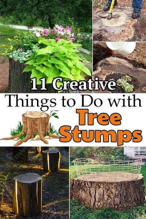 11 Creative Things To Do With Tree Stumps Tree Stump Tree Stump