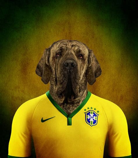 Собаки олицетворяющие игроков сборных команд по футболу со всего мира