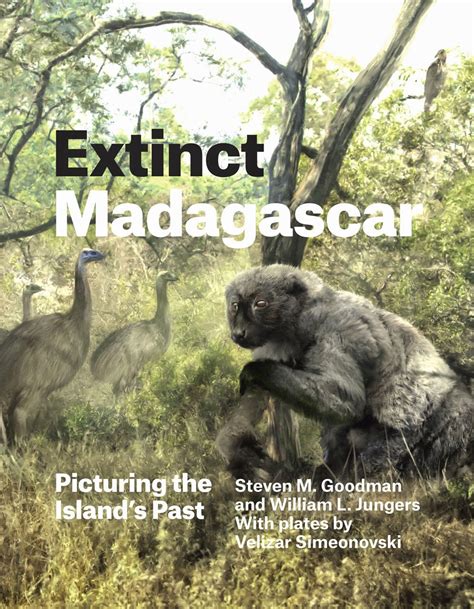 The Evolving Placenta Picturing Madagascars Past