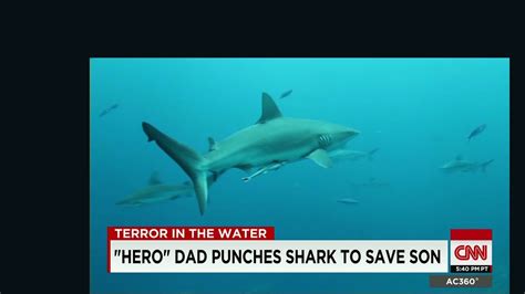 Man Punches Shark To Survive Attack Cnn Video
