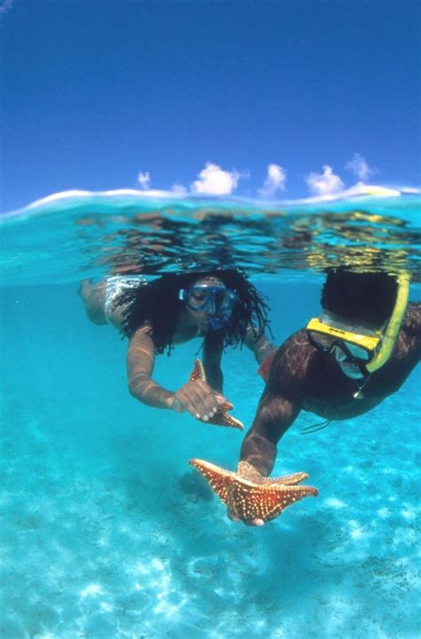 Best Snorkeling Spots In The Caribbean Best Snorkeling Vacation