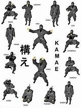 Images of Ninja Fighting Styles Video