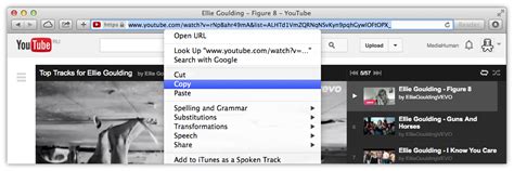 Wait until the list is completed and then download the files you need. How to download YouTube playlist and convert it to MP3 at ...