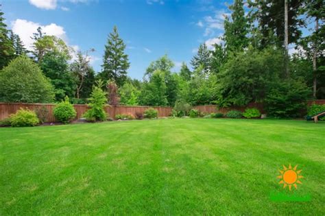10 Summer Lawn Care Tips Get Lush Green Grass Everytime Yard Day