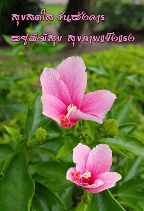 วันอังคารก็เหมือนกันค่ะ สีประจำวันเกิดออกจะหวานแต่ดั๊นนนน ต้องมาใช้สีแสบๆ แซ่บๆ แบบสีแดง สีแสด สีม่วงอะไรแบบนี้ค่ะ แต่จะ. ปักพินโดย วารุณี อรัญวาศรี ใน วันอังคาร | อรุณสวัสดิ์, วัน ...