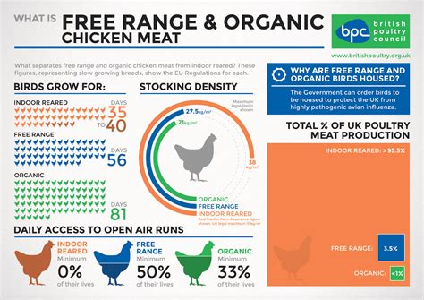 What Is Free Range And Organic Chicken Meat The British Poultry Council