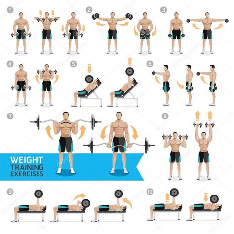 Ejercicio Mancuernas Buscar Con Google Dumbbell Workout Weight Training Shoulder Workout