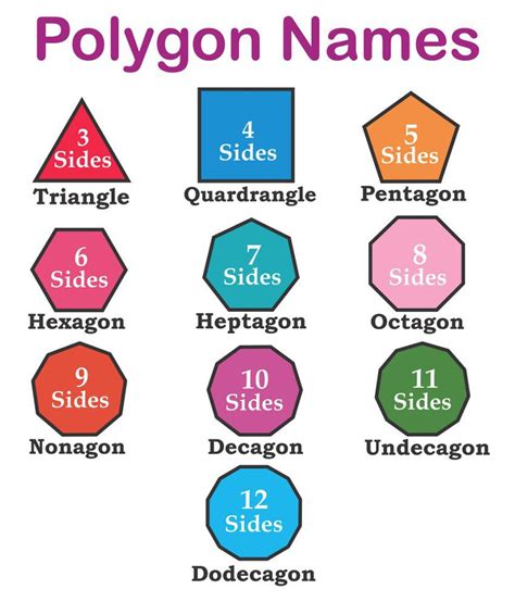 Wallzone Polygon Names Sticker 70 X 50 Cms Buy Wallzone Polygon