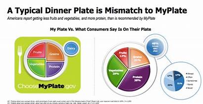 Survey Nutrition Guidelines Dietary Americans Phipps Conservatory