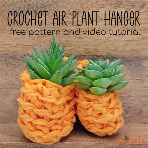 Crochet Air Plant Hanger Tutorial - moogly