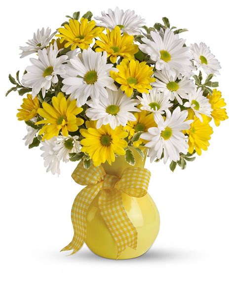 Upsy Daisy Flower Delivery Beautiful Flowers Daisy Bouquet