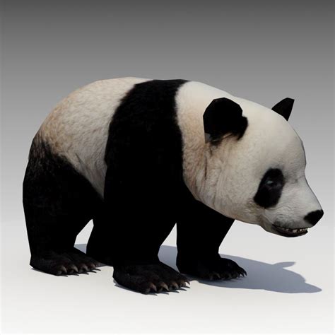Download or buy, then render or print from the shops or marketplaces. 3d model giant panda animations