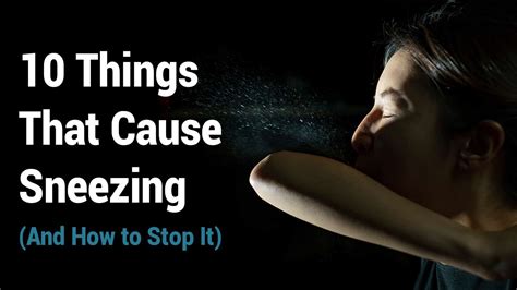 10 Things That Cause Sneezing And How To Stop It 6 Minute Read