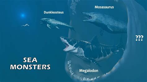 Sea Monsters Size Comparison The Largest Sea Animals Living And