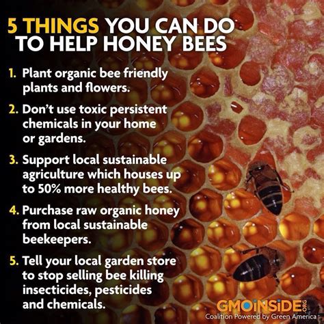 Help Pollinators Feed The World Organic Honey Raw Organic Organic