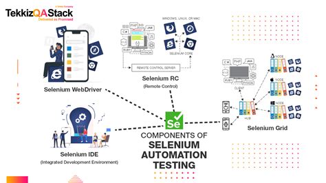 Complete Guide On Xpath In Selenium Software Testing Class Riset