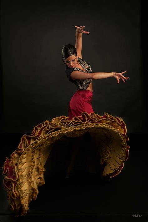 Pin By Anneli On Flamenco Flamenco Dancing Dance Photography