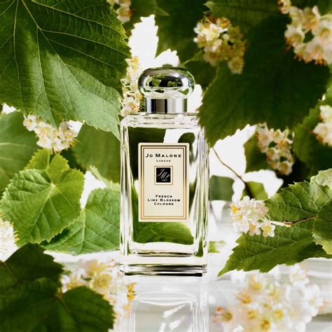 Jo Malone London French Lime Blossom Cologne 100ml Mifashop