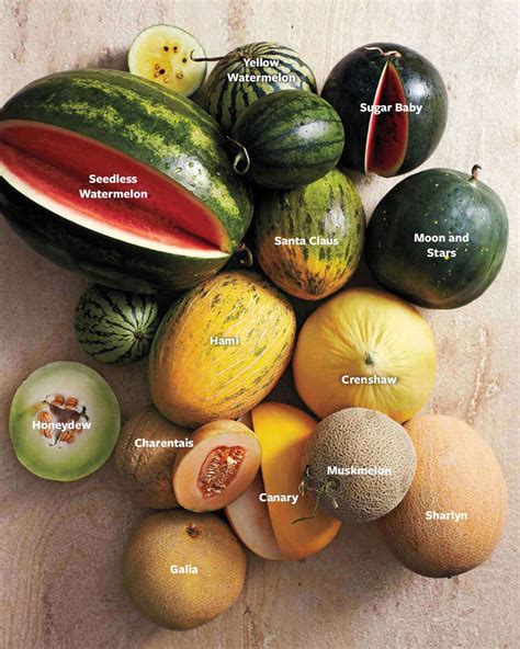 A Bakers Dozen Of Our Favorite Summer Melons Martha Stewart