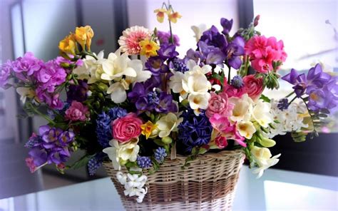 Our mixed bouquets come in many colors, and floral varieties like roses, tulips, lilies & more for the perfect bouquet. Beautiful Flower Bouquet wallpaper | flowers | Wallpaper ...