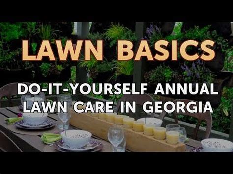 Watering systems for lawn & garden: Do-It-Yourself Annual Lawn Care in Georgia - YouTube