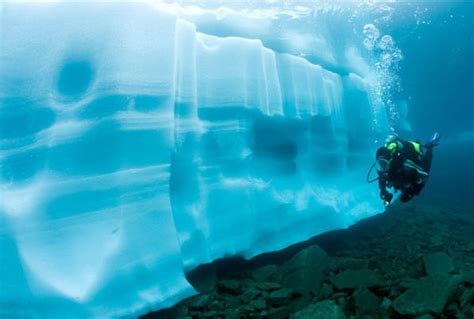 15 Pics To See Inside The Ice Water Ice Diving