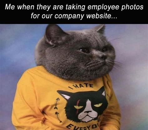 Its Caturday And We Have The Purrfect Memes For You Cat Memes Funny