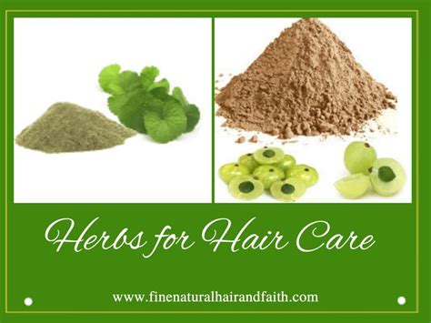 Amla herb is rich in vitamin c, ascorbic acid, ellagic acid, polyphenols and flavinoids. Amla and Brahmi for Herbal Hair Care | Benefits of Amla ...