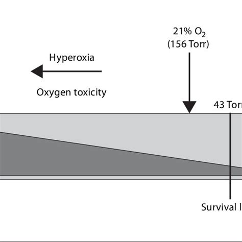 Spectrum Of Oxygenation Hyperoxia And Anoxia Are Lethal To All Cells