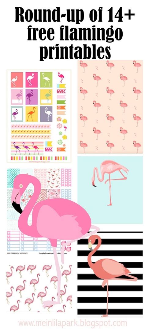 Free Flamingo Printables Flamingos Round Up Meinlilapark Diy