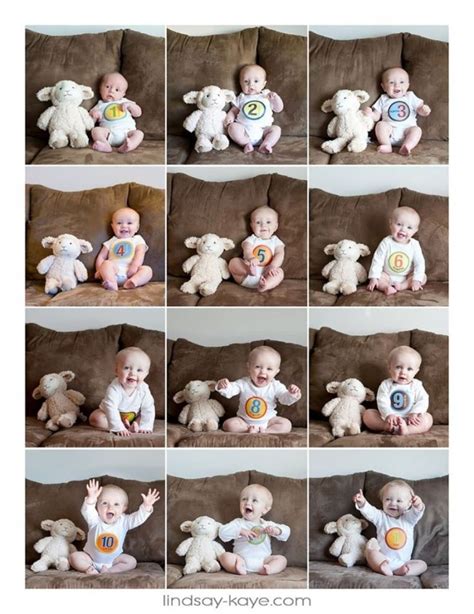 truques para fazer fotos de bebê em casa dicas incríveis newborn