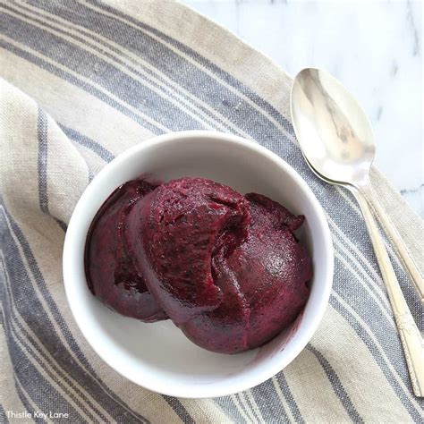 Blueberry Lemon Sorbet Recipe Thistle Key Lane