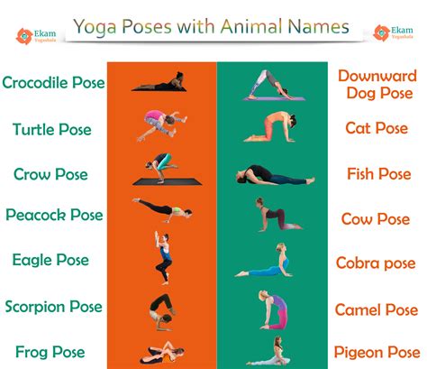 Download Animal Names Yoga Poses Image Temal