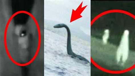Top 10 Mysterious Creatures Caught On Tape Another World Creepy