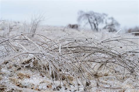 Ice Covered Ice Age Trail