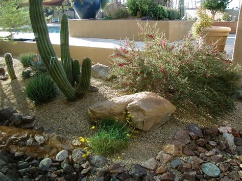 Desert Landscaping Ten Tips For Winter Watering Water Use It Wisely